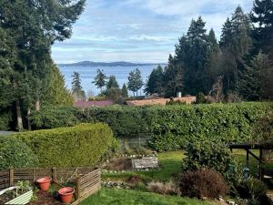 Hedges need trimming