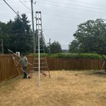 After pruning