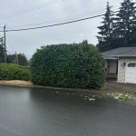 Hedge after
